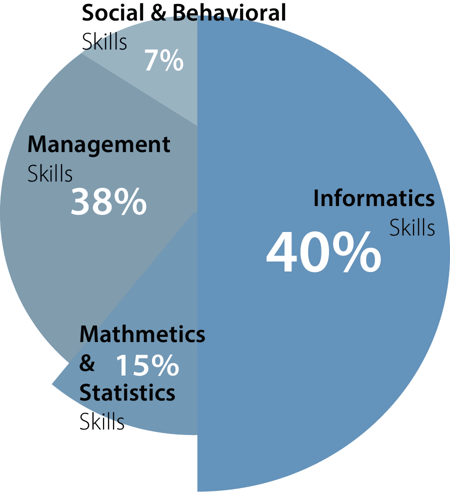 information systems skills